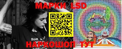 дживик Моздок