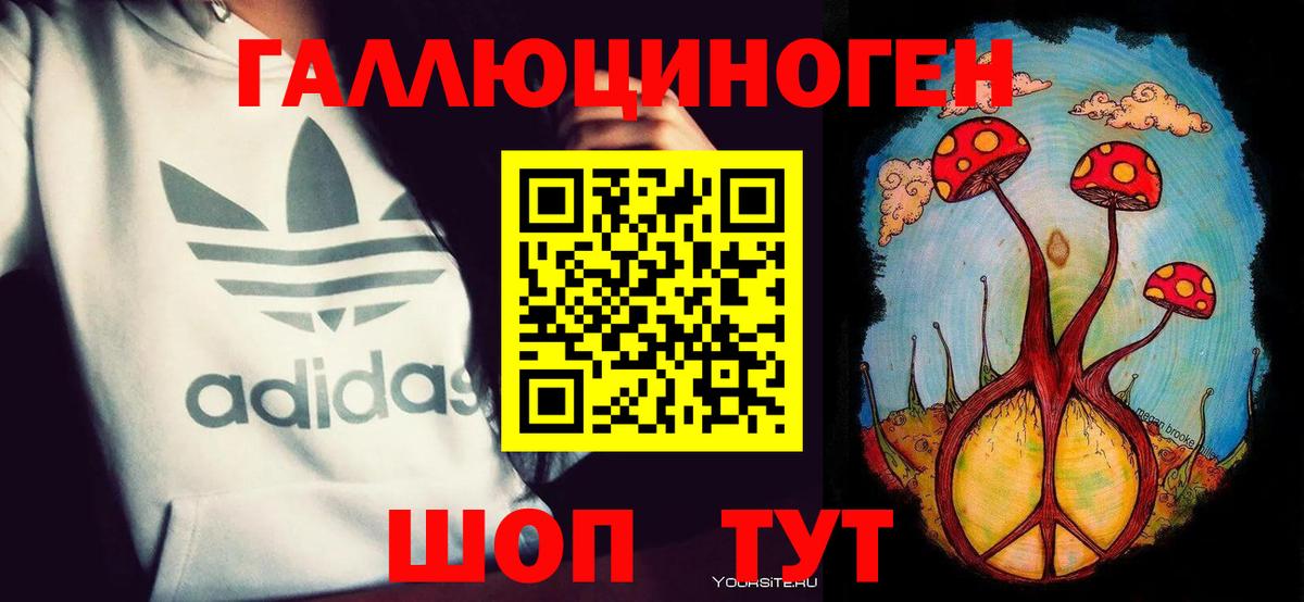 Псилоцибиновые грибы Psilocybine cubensis Хасавюрт