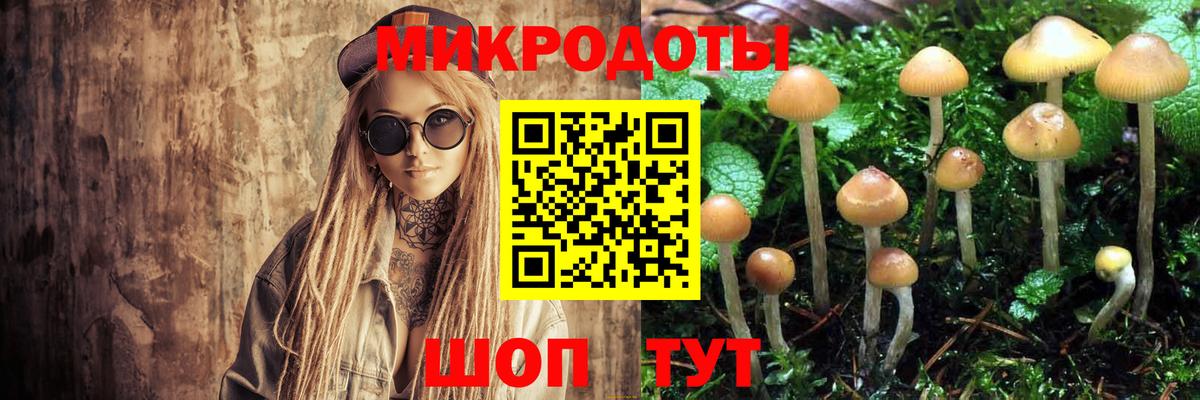 Псилоцибиновые грибы GOLDEN TEACHER  Вход с VPN  купить  сайты  Галлюциногенные грибы ЛСД  Хасавюрт 